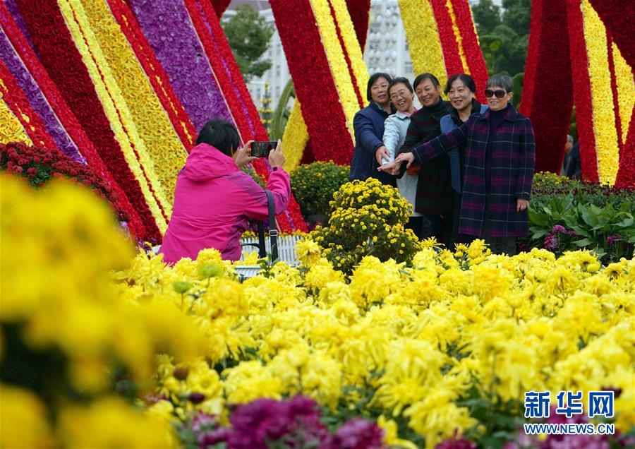 江西南昌：菊花綻放迎客來