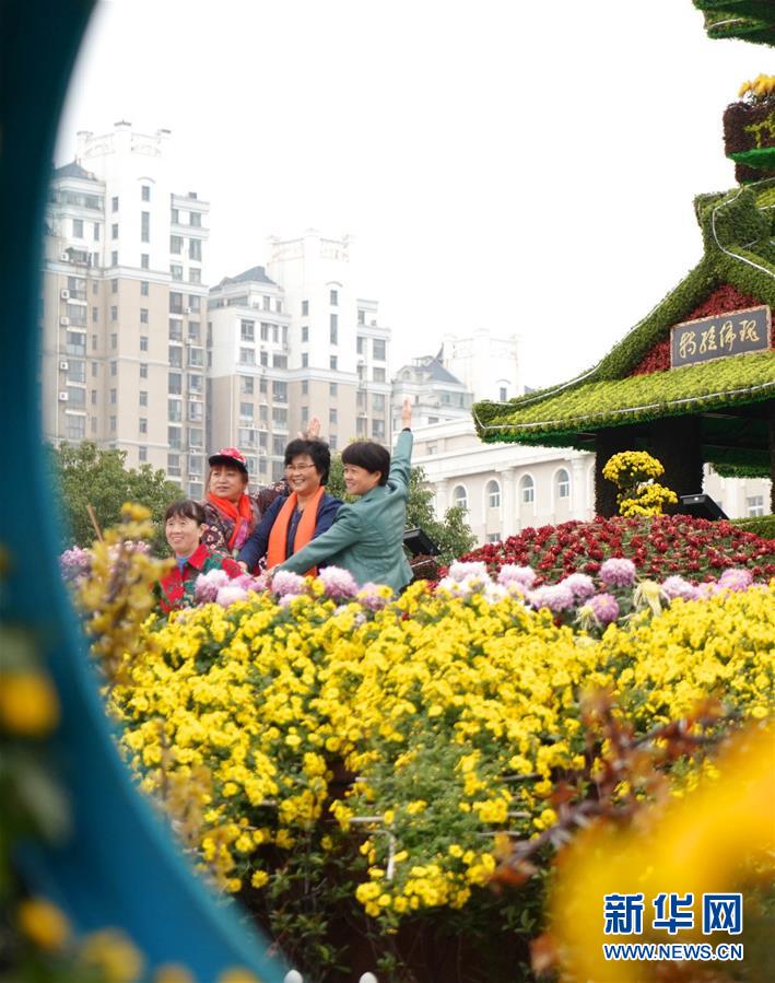 江西南昌：菊花綻放迎客來