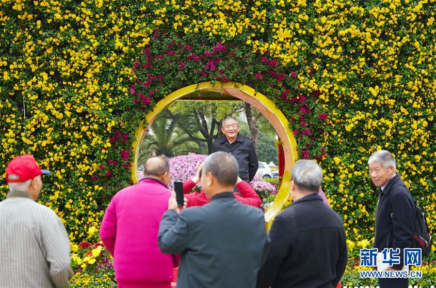 江西南昌：菊花綻放迎客來