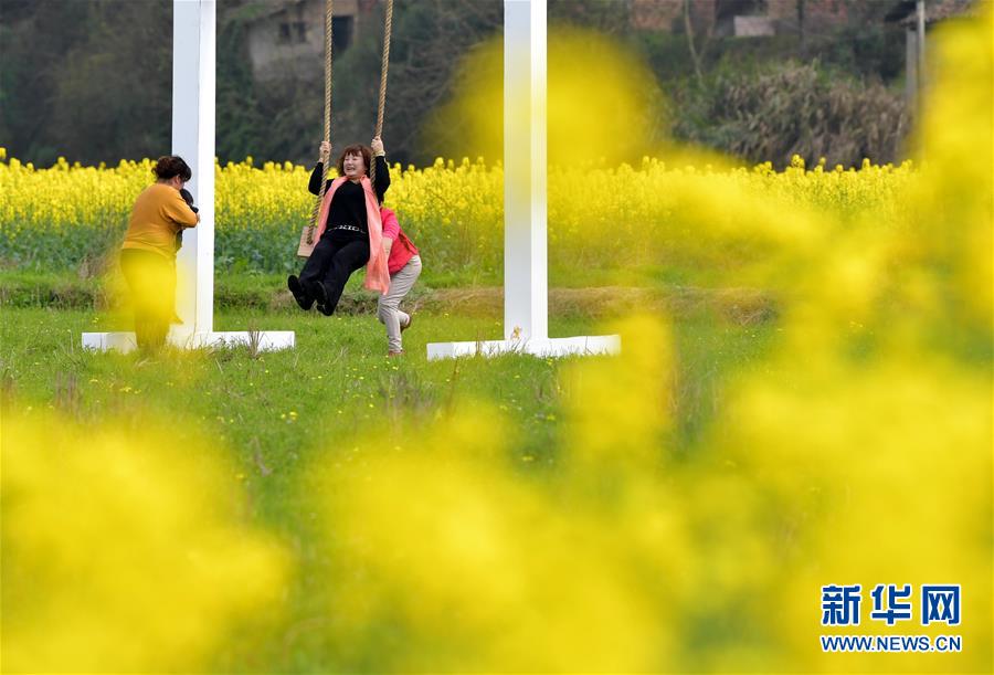 江西東橋鎮：贛西大地 油菜花開