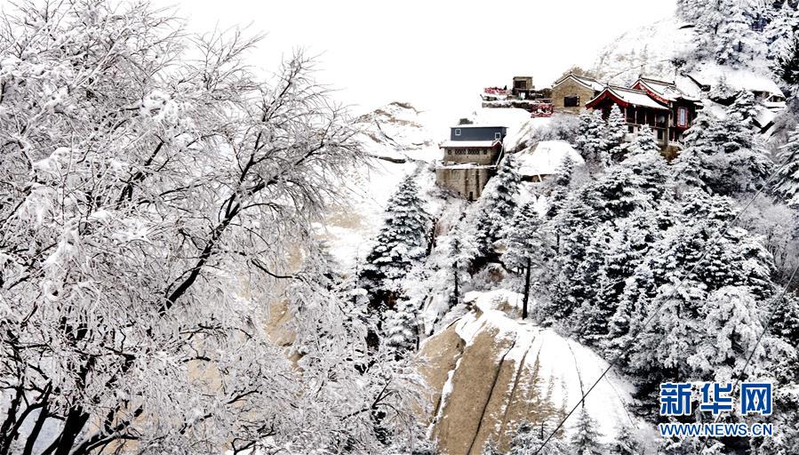 華山雪後更嬌艷