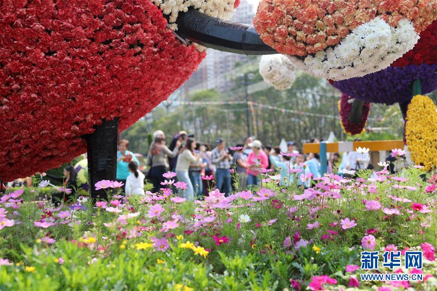 香港：鮮花醉遊人