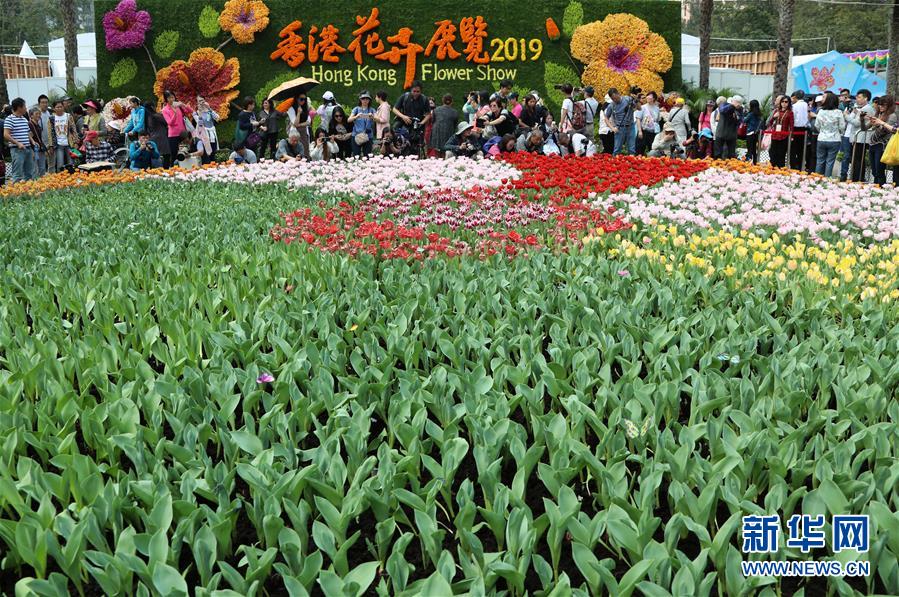 香港：鮮花醉遊人