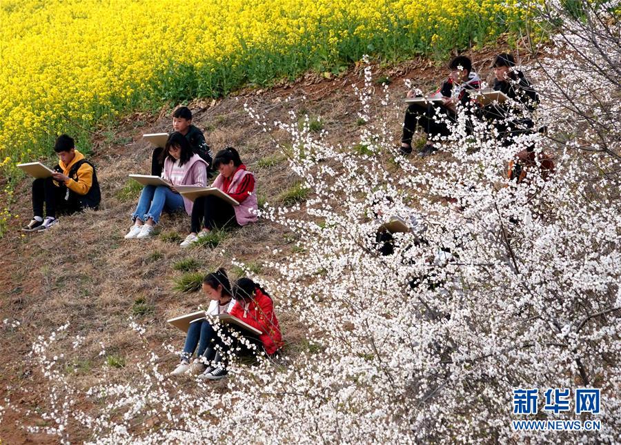 河南洛寧：春日尋芳 多彩山鄉