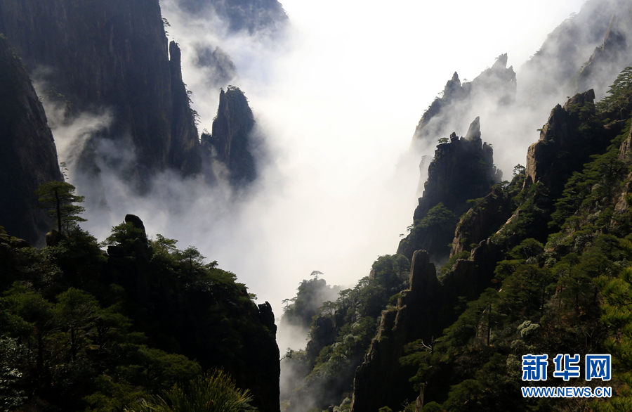 黃山：雲海波瀾闊 天地鐘奇秀