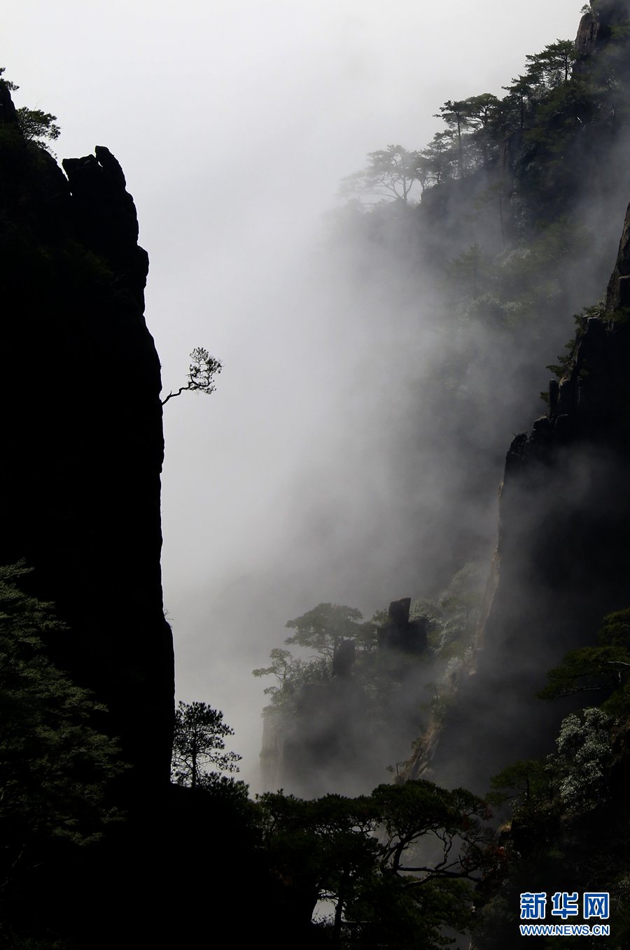 黃山：雲海波瀾闊 天地鐘奇秀