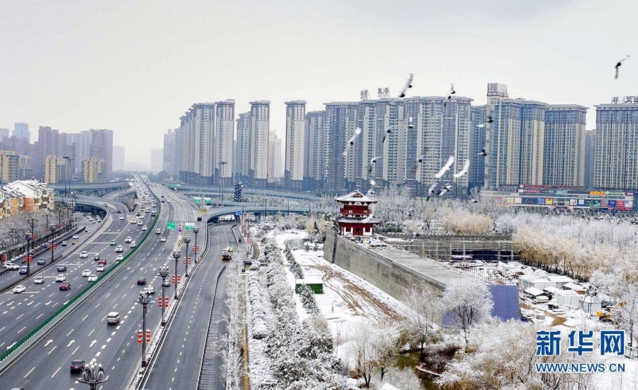 河南洛陽：瑞雪兆豐年 洛城美如畫