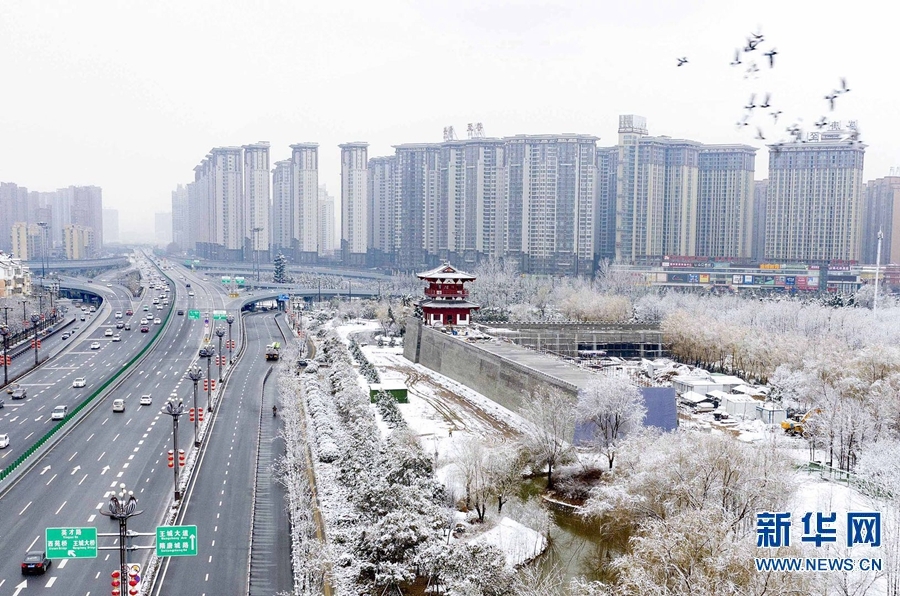 河南洛陽：瑞雪兆豐年 洛城美如畫