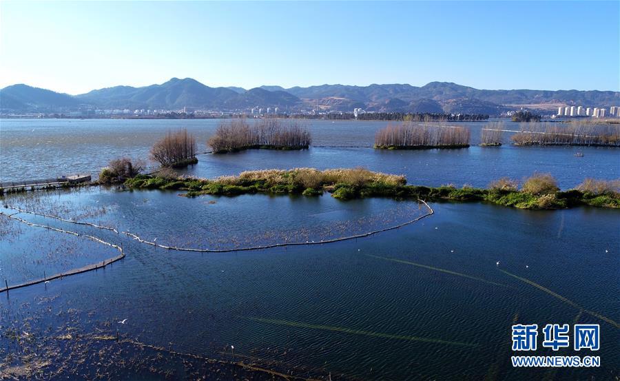 雲南昆明：滇池濕地冬日美