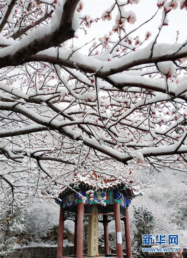 河北張家口降春雪