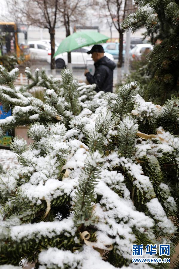 河北張家口降春雪