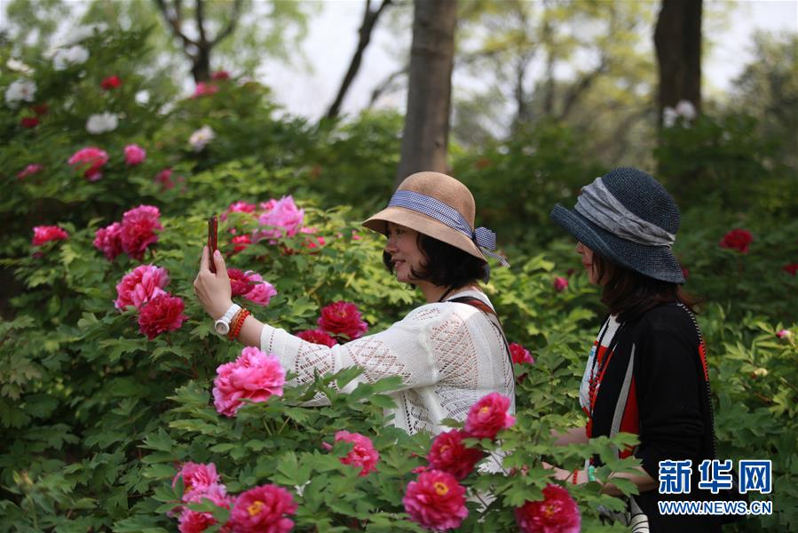 江蘇揚州：萬花爭艷迎客來