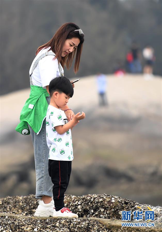 廣西三娘灣景區迎來旅遊熱