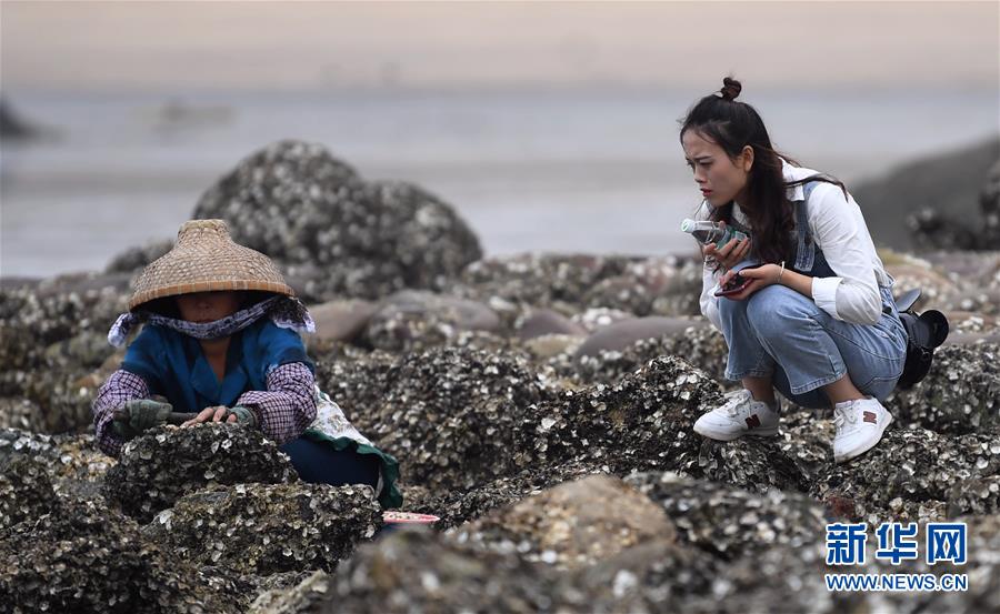 廣西三娘灣景區迎來旅遊熱