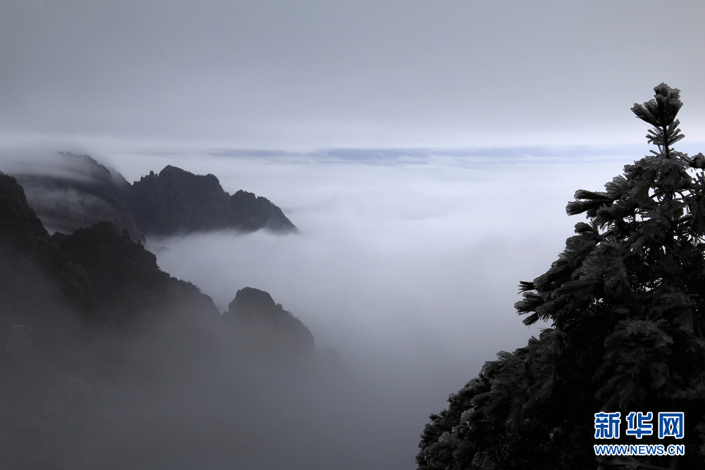 安徽黃山：流雲度山海 飛雪又春風