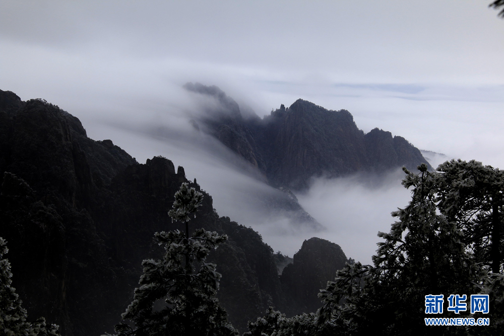 安徽黃山：流雲度山海 飛雪又春風