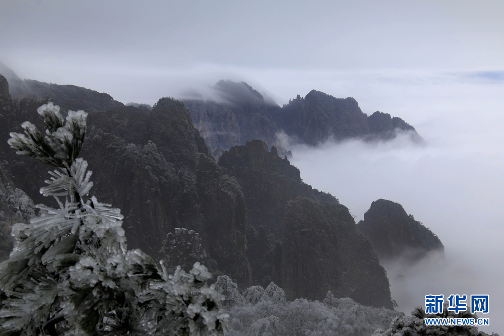 安徽黃山：流雲度山海 飛雪又春風