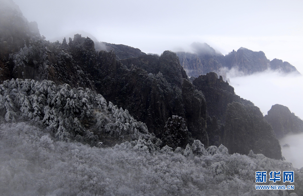 安徽黃山：流雲度山海 飛雪又春風