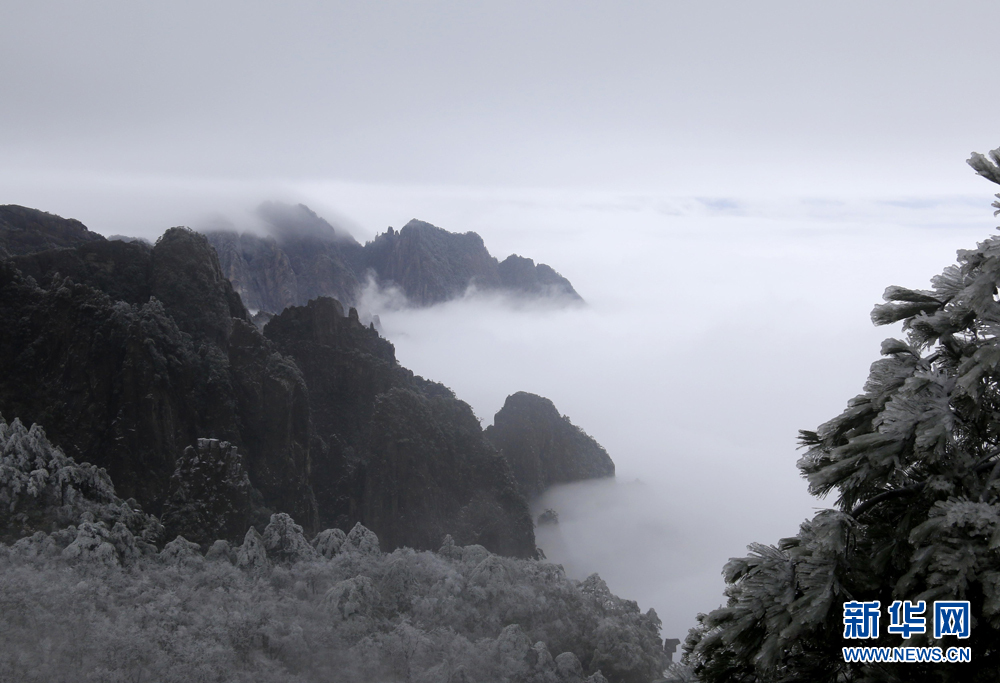 安徽黃山：流雲度山海 飛雪又春風