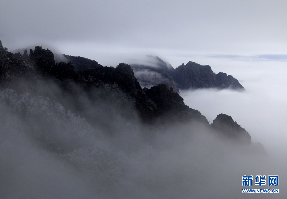 安徽黃山：流雲度山海 飛雪又春風