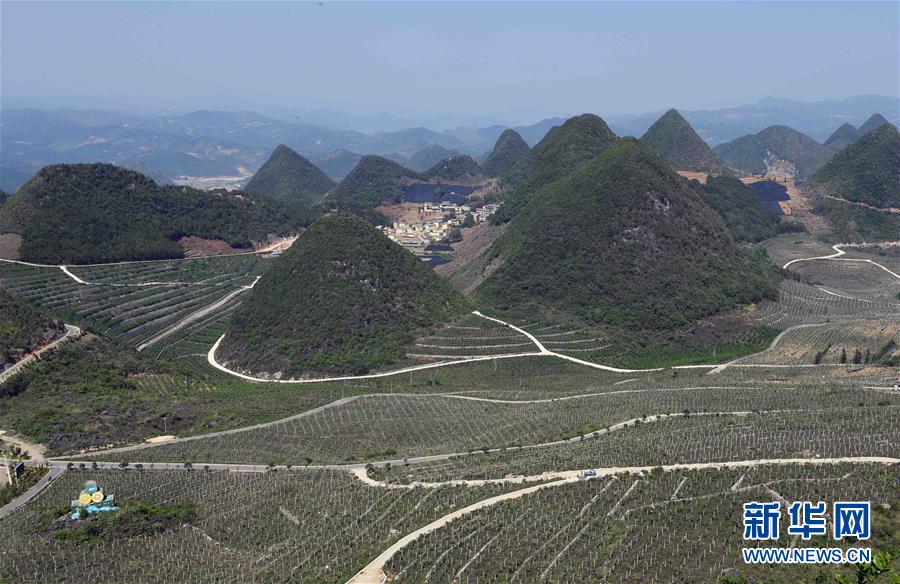 雲南西疇：石漠化山地披綠裝