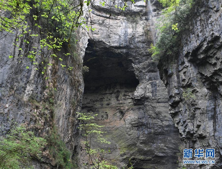 走近陜西寧強地洞河天坑