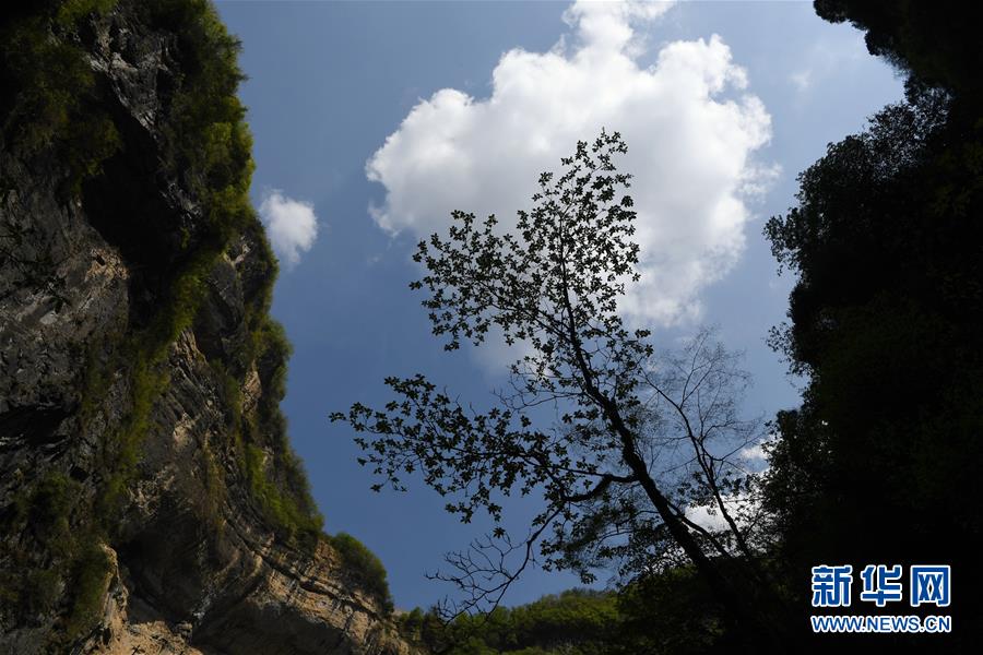 走近陜西寧強地洞河天坑