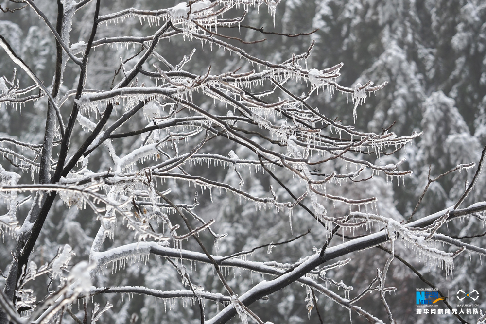 安徽金竹坪村：冰雪大別山