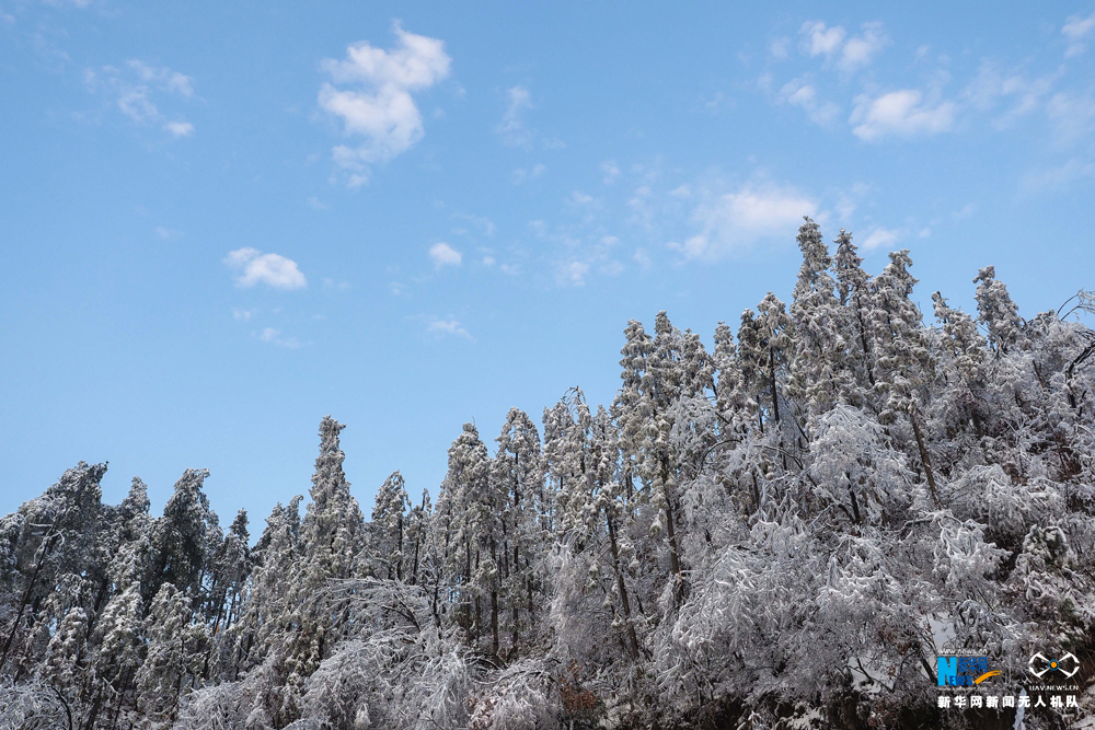 安徽金竹坪村：冰雪大別山