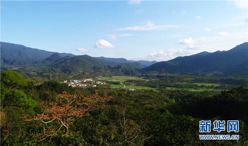 春天裏的“桃源”勝地——海南大裡鄉