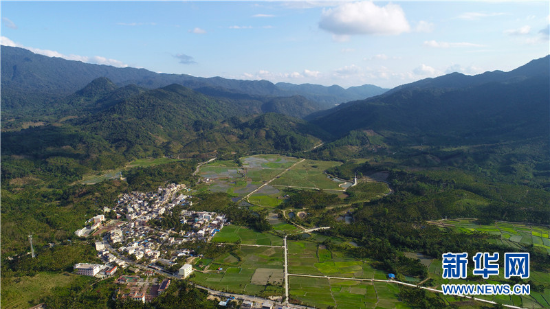 春天裏的“桃源”勝地——海南大裡鄉