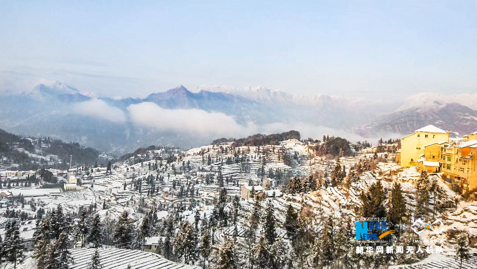 湖北宜昌：雪後茶鄉分外美