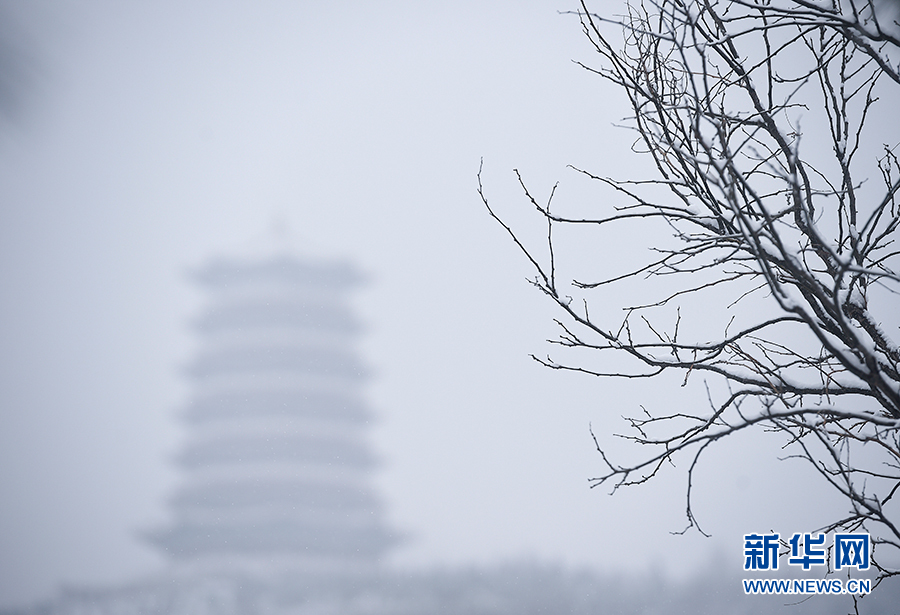 寧夏固原：雪落古雁嶺