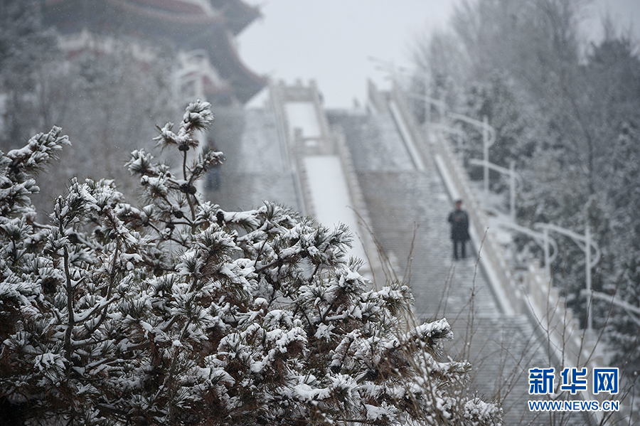 寧夏固原：雪落古雁嶺