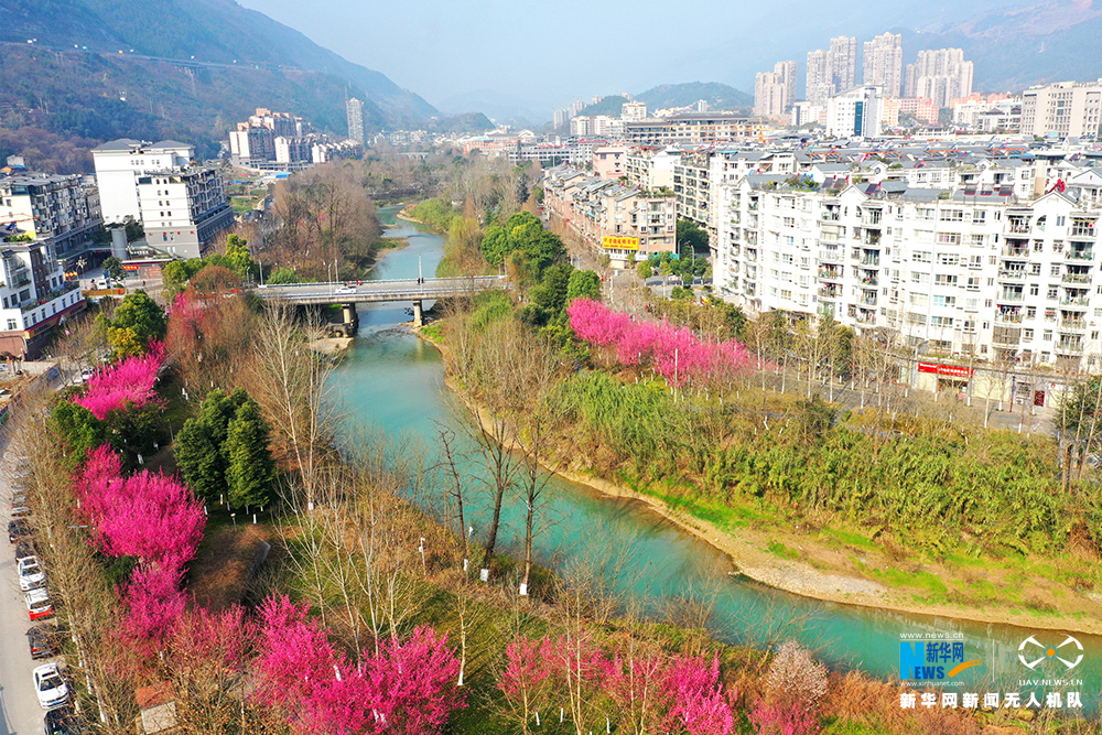 航拍重慶柏楊河：一點春一點俏 幾分花香幾分閒