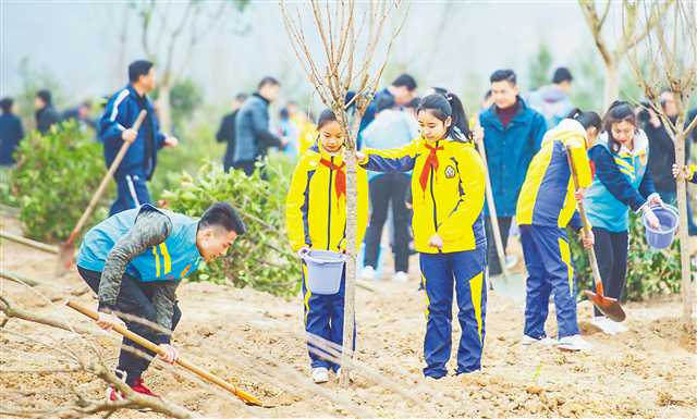 巴渝大地添綠意高招頻出