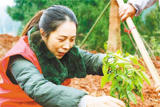 巴渝大地添綠意高招頻出