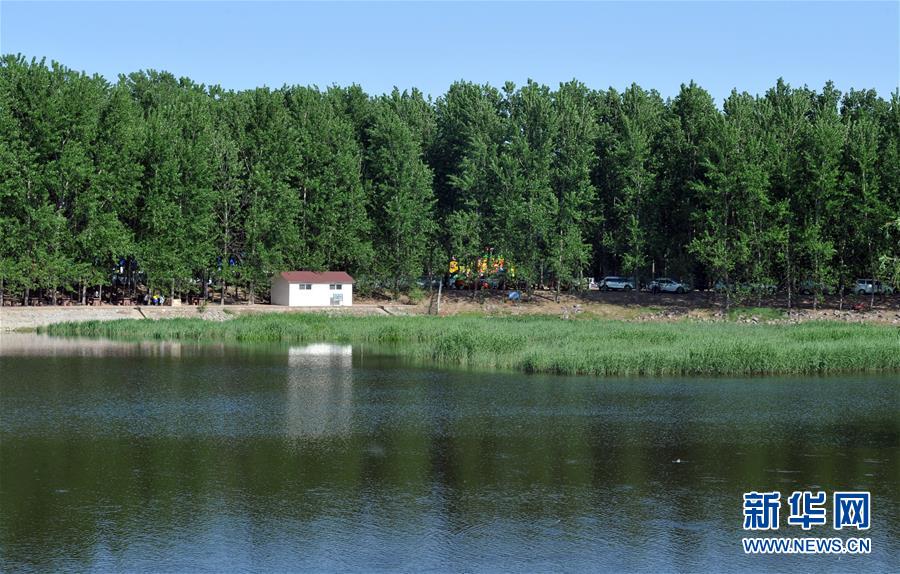 天津：郊野公園變“城市氧吧”