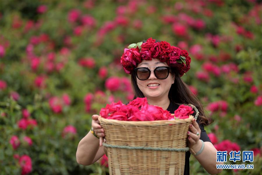 雲南安寧：五月的鮮花 甜蜜的生活