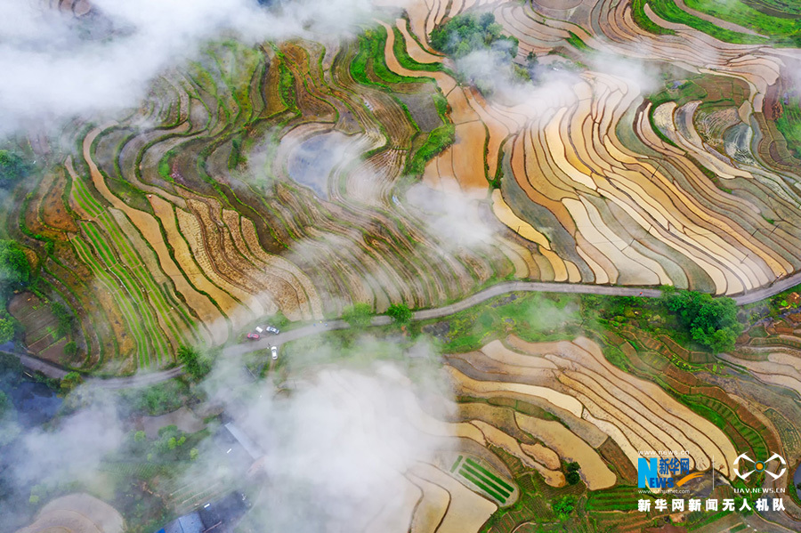 航拍重慶鹽井梯田：良田生雲霧 漫步賞村景