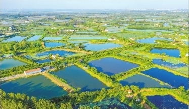 走吧！去東西湖 尋武漢最美秋日_fororder_群力大隊水色織錦繡。長江日報城市攝影隊劉飛 攝_b