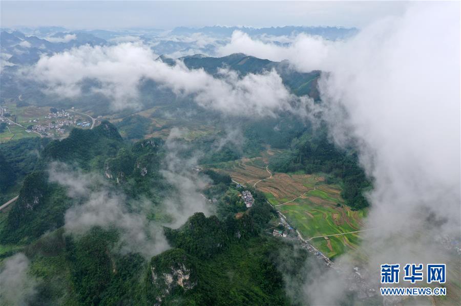 霧繞瑤山