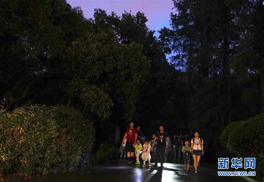 上海：動物園裏的“奇妙夜”