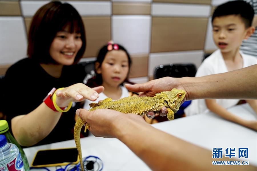 上海：動物園裏的“奇妙夜”