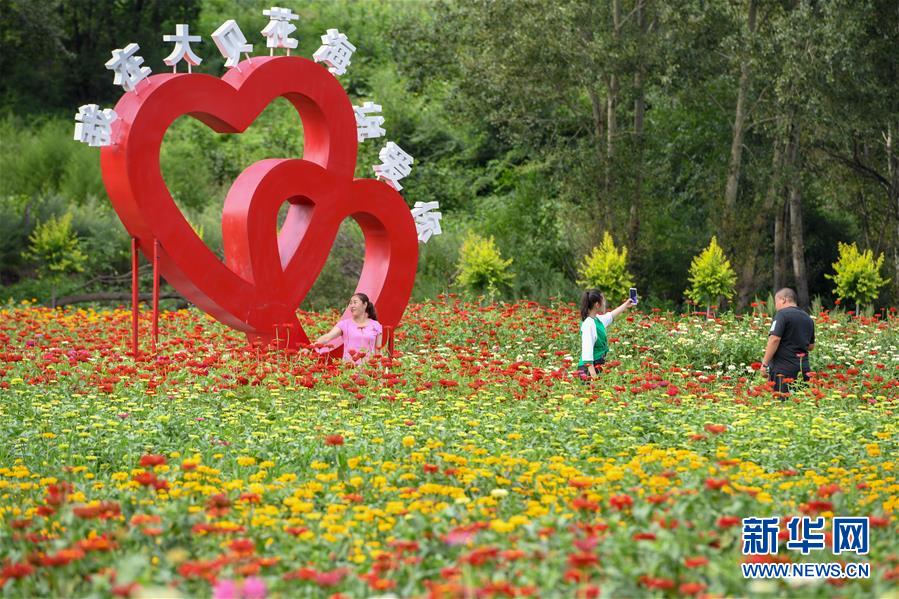 吉林長春：“暢遊”花海