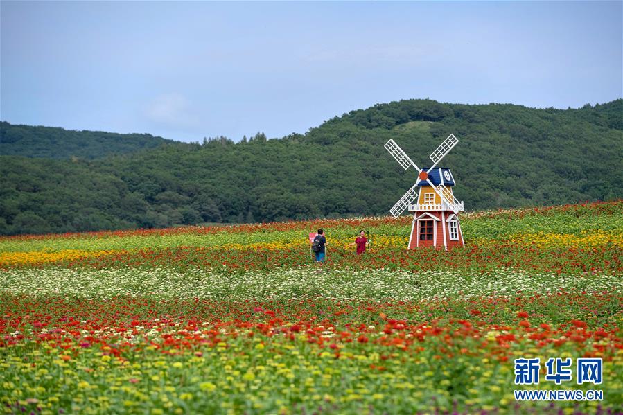 吉林長春：“暢遊”花海