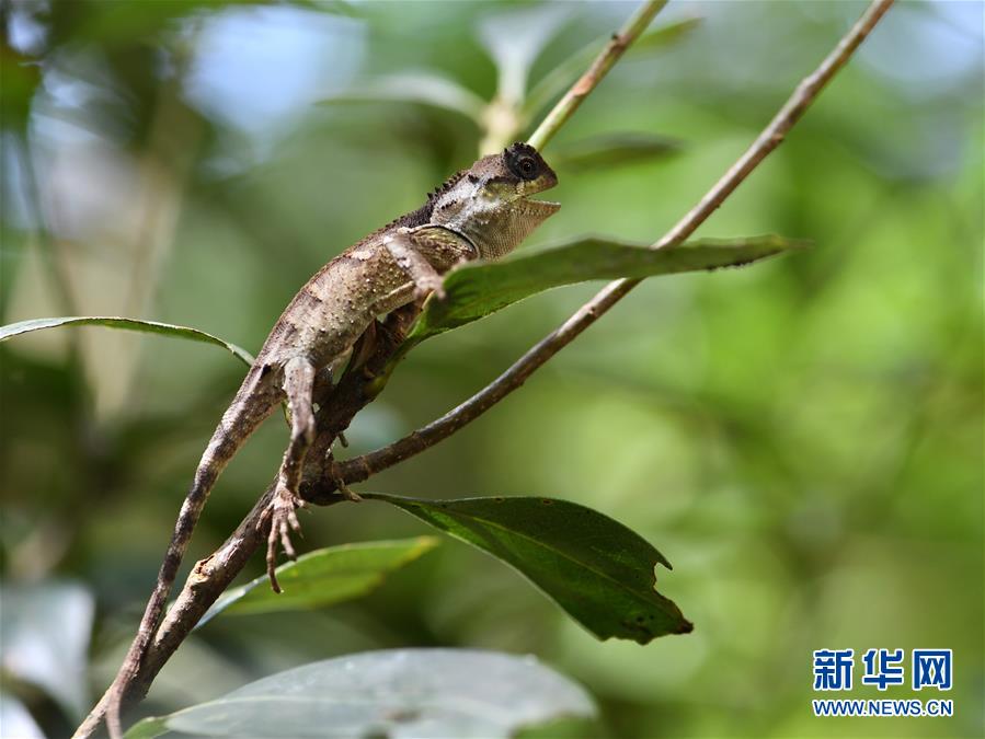 走進武夷山國家公園