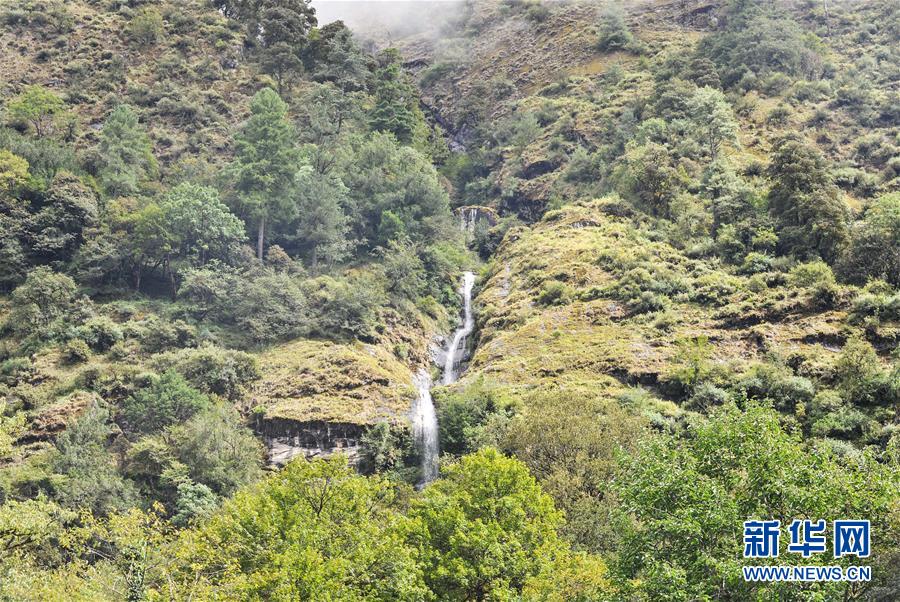 西藏山南市：山水秘境勒布溝