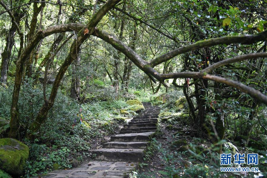 西藏山南市：山水秘境勒布溝