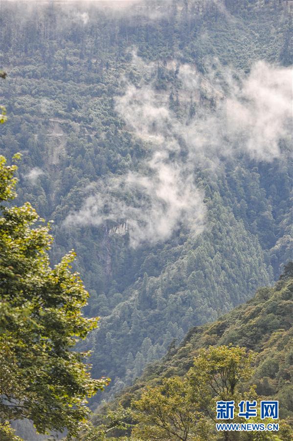 西藏山南市：山水秘境勒布溝